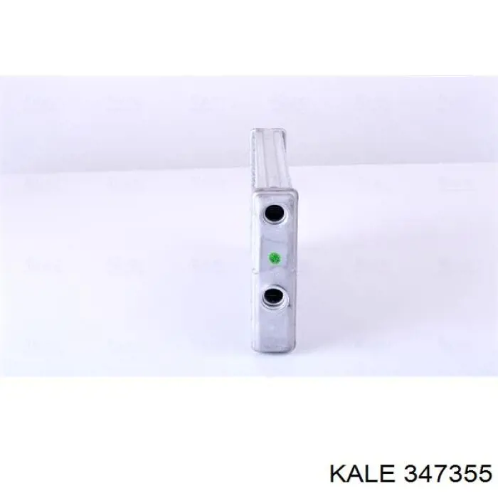 347355 Kale