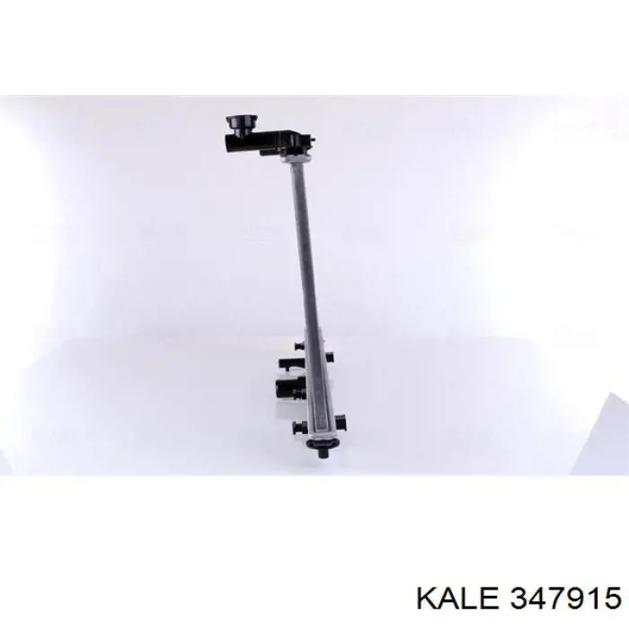 347915 Kale