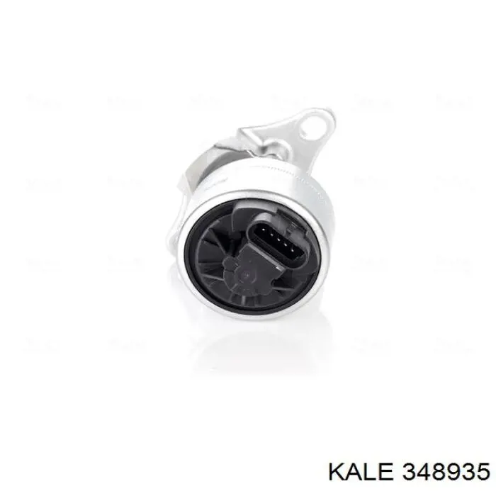 348935 Kale