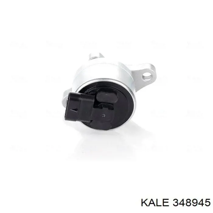 348945 Kale