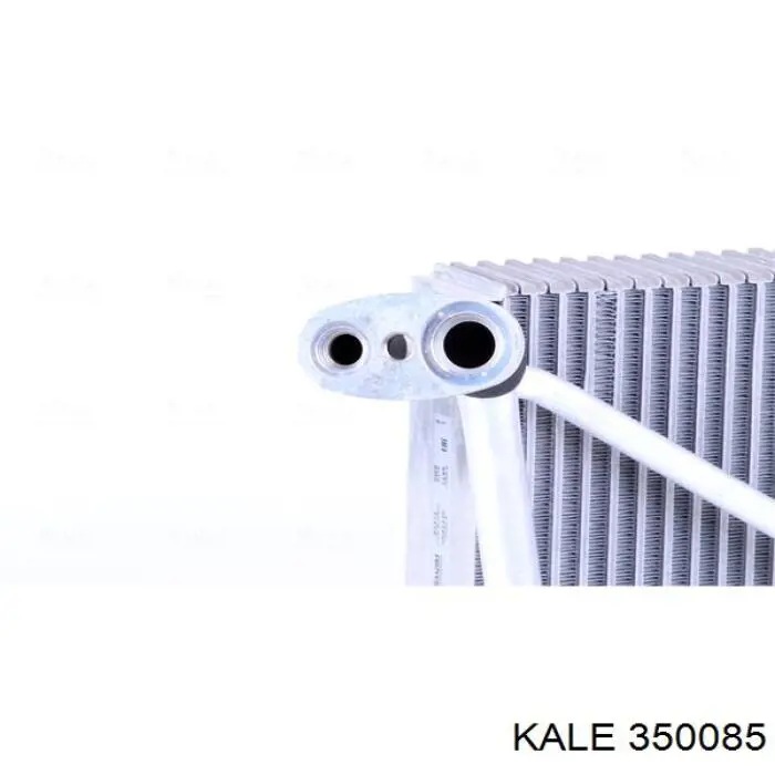 350085 Kale