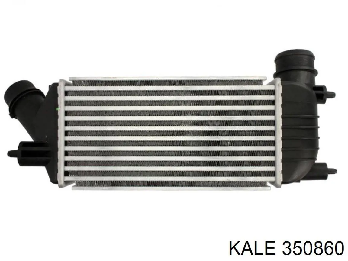 350860 Kale