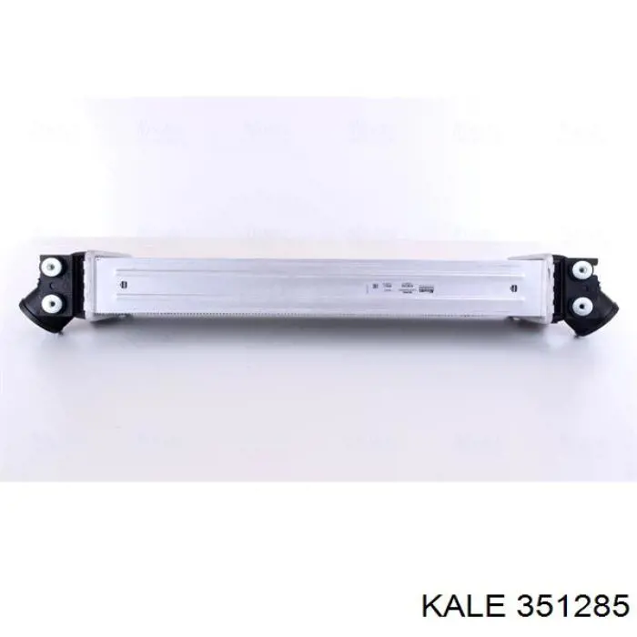 351285 Kale