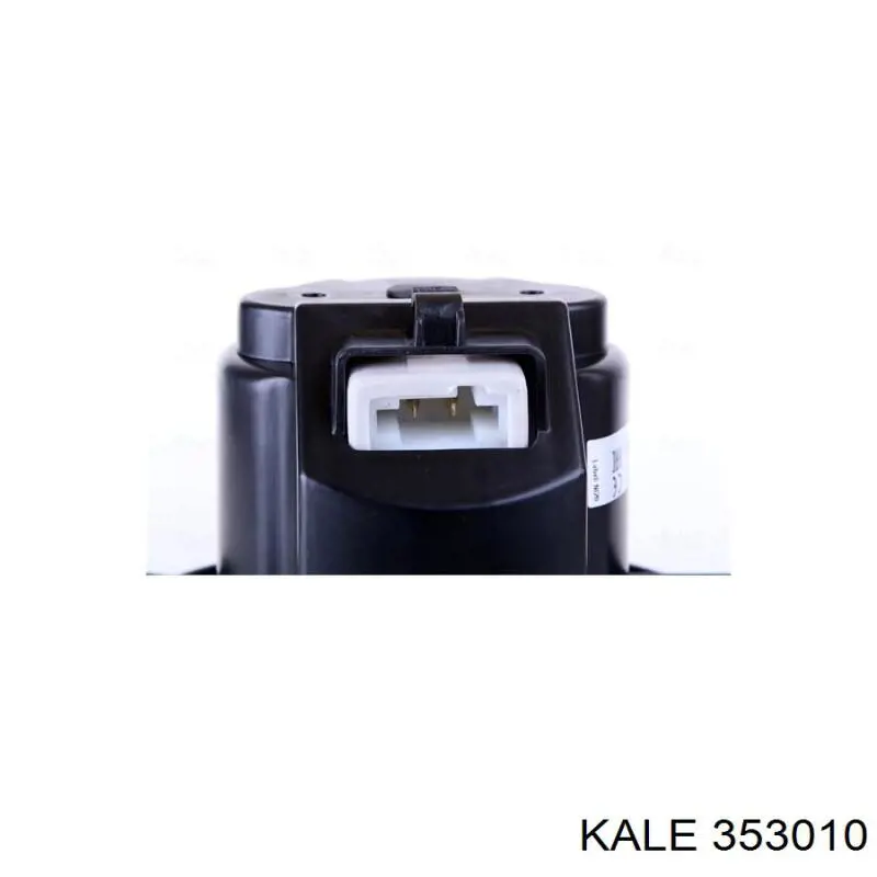 353010 Kale