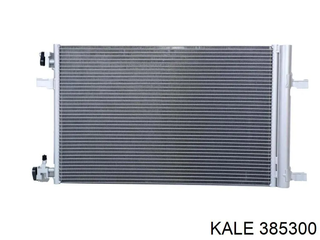 385300 Kale
