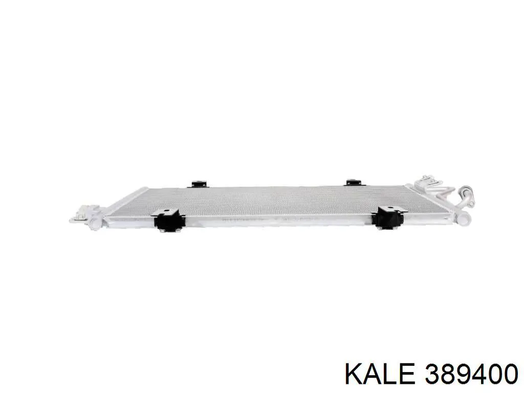 389400 Kale