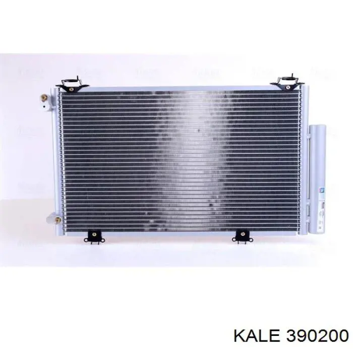 390200 Kale