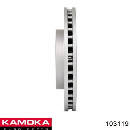 Передние тормозные диски 103119 Kamoka