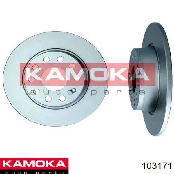 103171 Kamoka