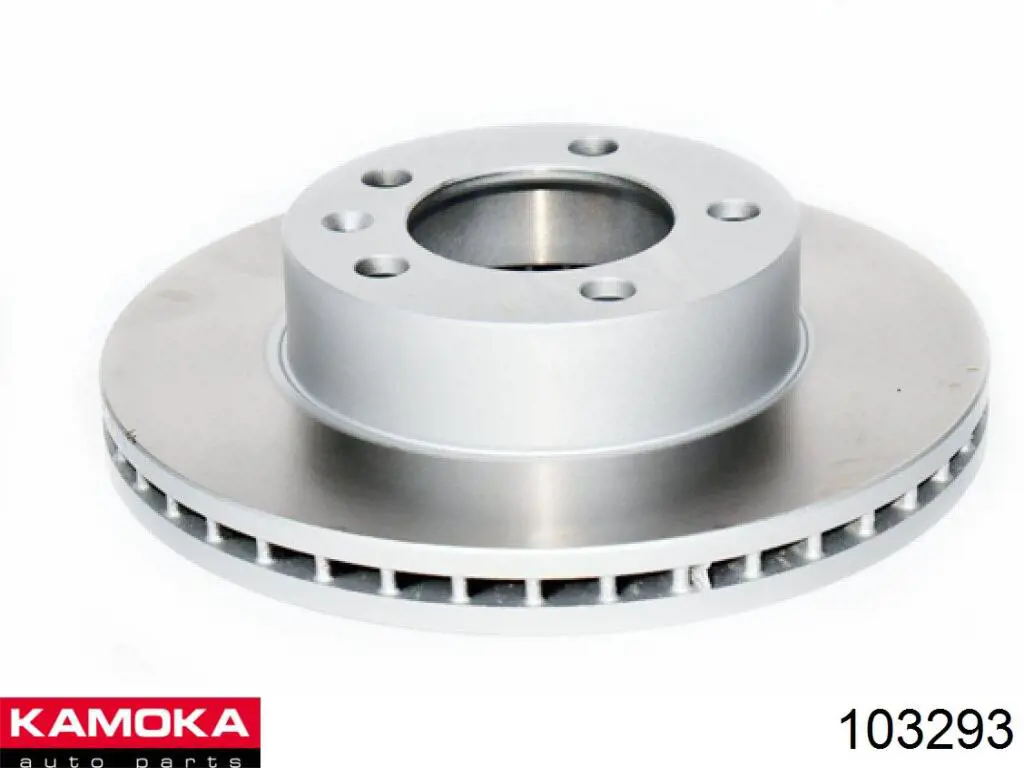 Freno de disco delantero 103293 Kamoka