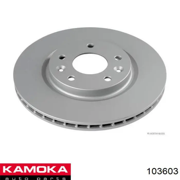 103603 Kamoka
