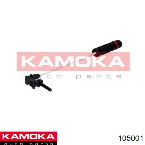 105001 Kamoka