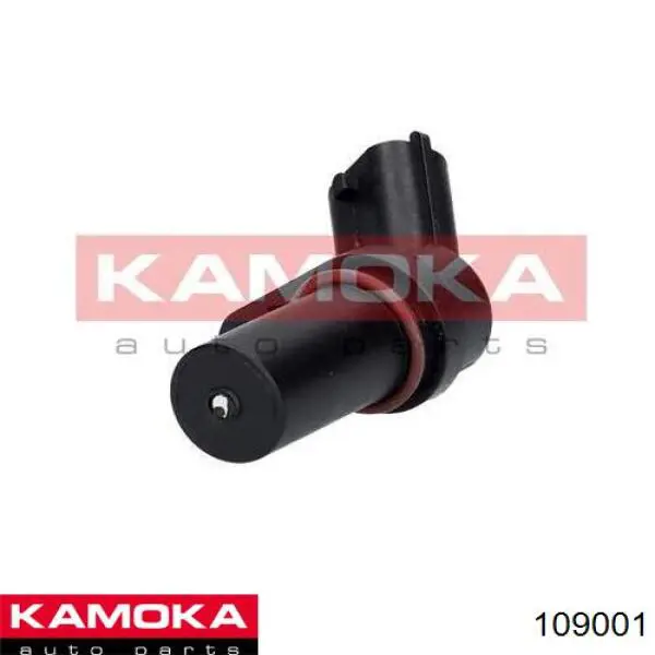 109001 Kamoka ДПКВ