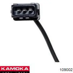 109002 Kamoka ДПКВ