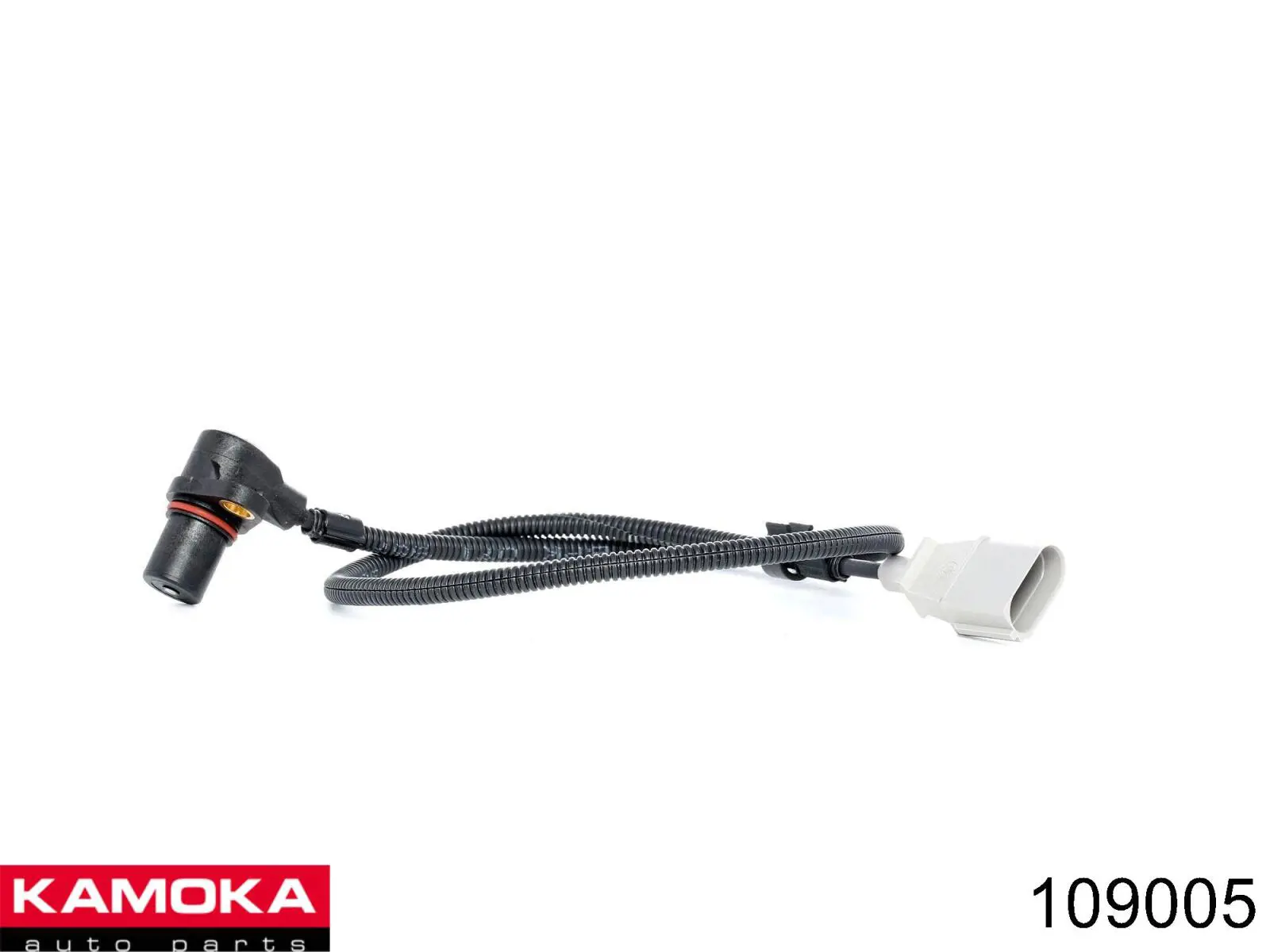 109005 Kamoka ДПКВ