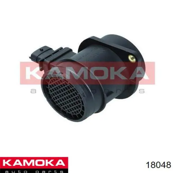 18048 Kamoka