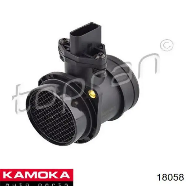 18058 Kamoka