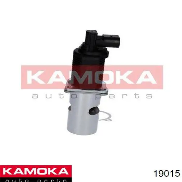 19015 Kamoka