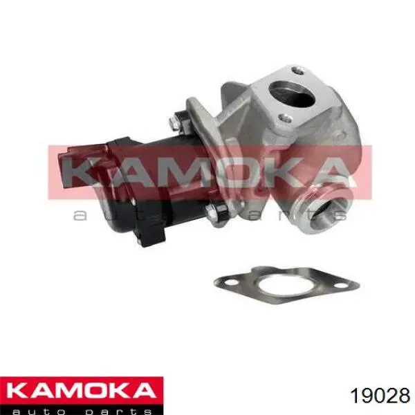19028 Kamoka