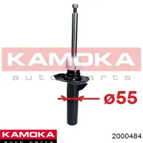 2000484 Kamoka 