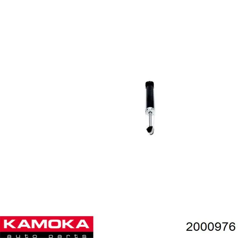 2000976 Kamoka Амортизаторы задние