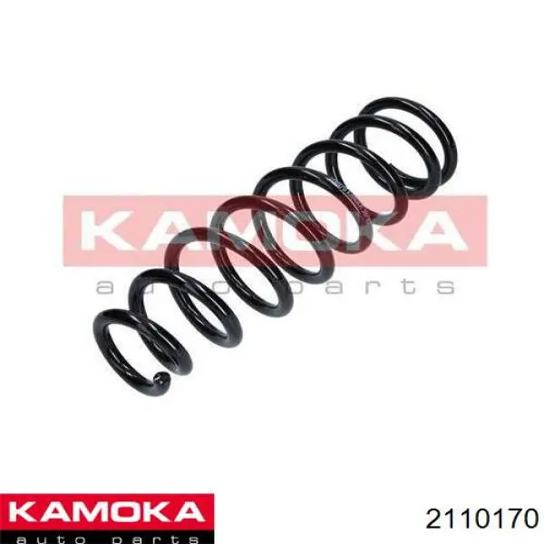 2110170 Kamoka