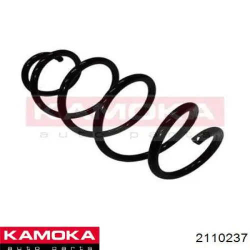 Передняя пружина 8200106139 Renault (RVI)
