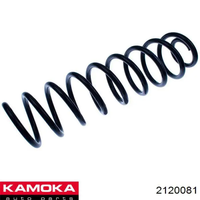 Задняя пружина ZC5496C Japan Parts