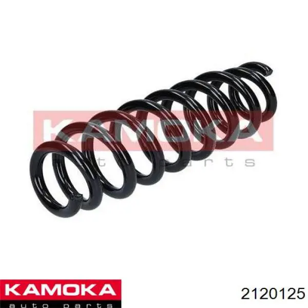 Купить SR135TP Raiso Пружина подвески