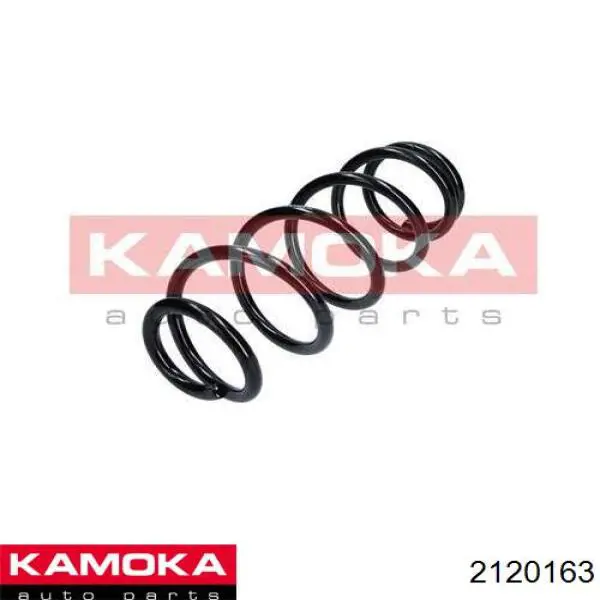 2120163 Kamoka