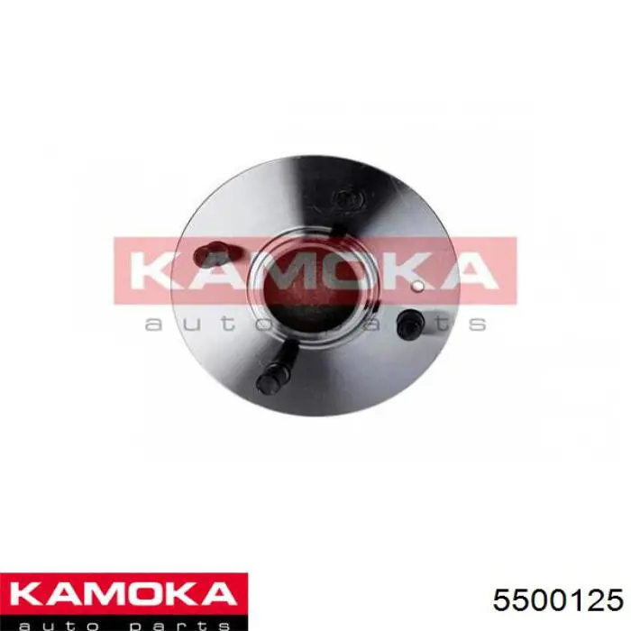 Cubo de rueda trasero 5500125 Kamoka