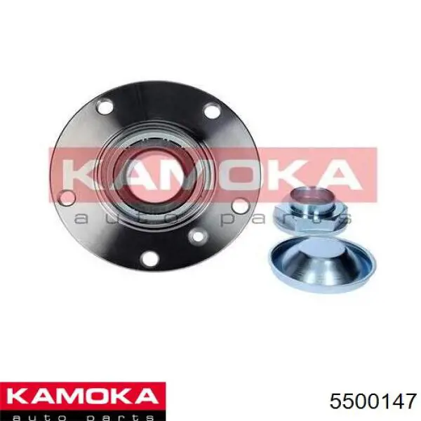 Cubo de rueda delantero 5500147 Kamoka