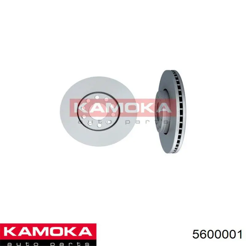 5600001 Kamoka Подшипник ступицы передней и задней