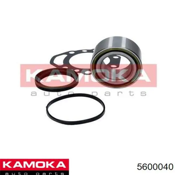 Cojinete de rueda trasero 5600040 Kamoka