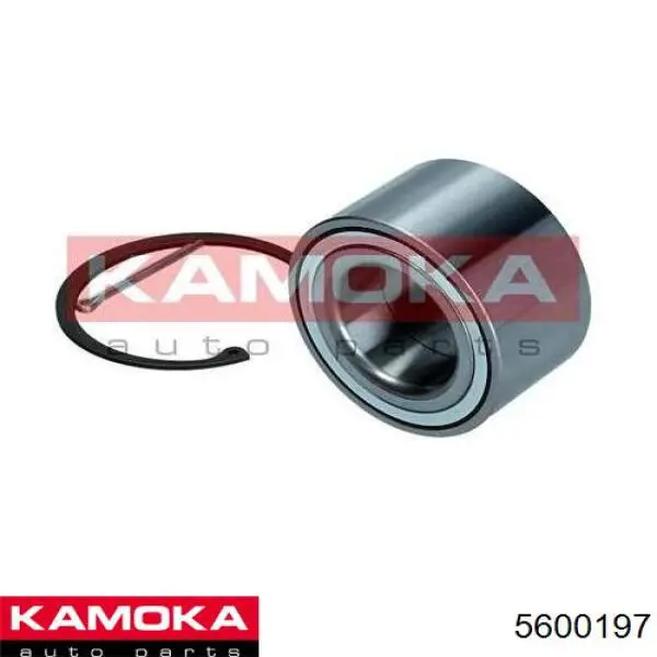 Задний подшипник Kamoka 5600197