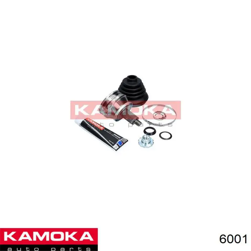 6001 Kamoka