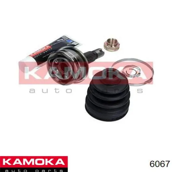 6067 Kamoka