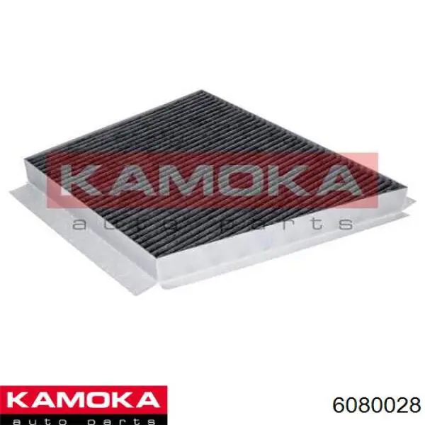 6080028 Kamoka