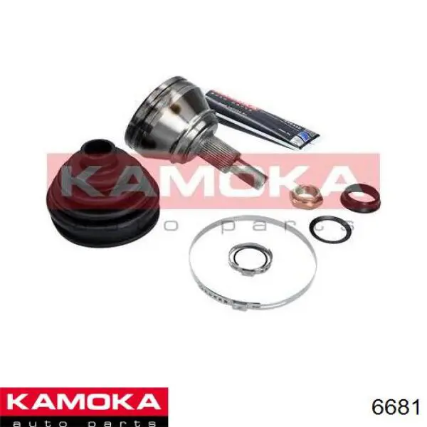 6681 Kamoka