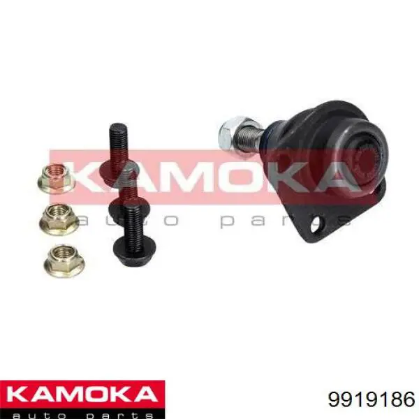 9919186 Kamoka