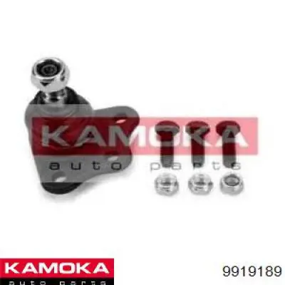 9919189 Kamoka