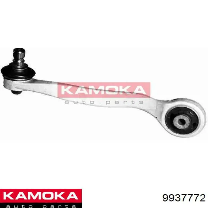 9937772 Kamoka