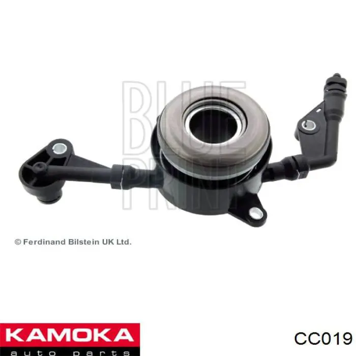 CC019 Kamoka