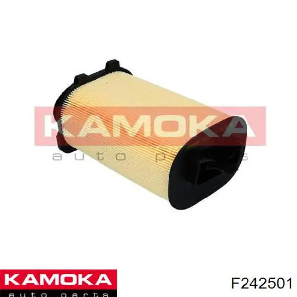 Воздушный фильтр F242501 Kamoka