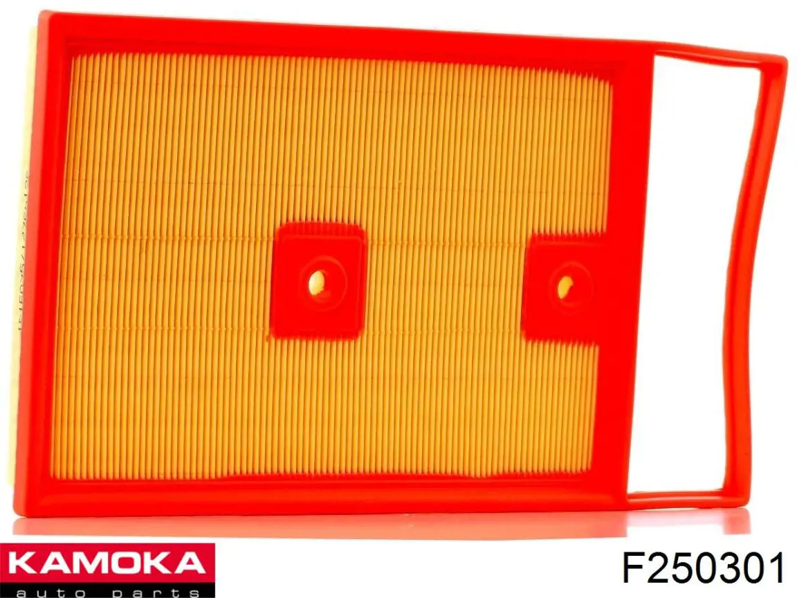 F250301 Kamoka Воздушный фильтр двигателя