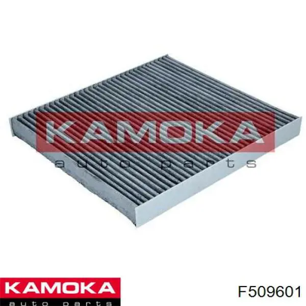 Фильтр салона F509601 Kamoka