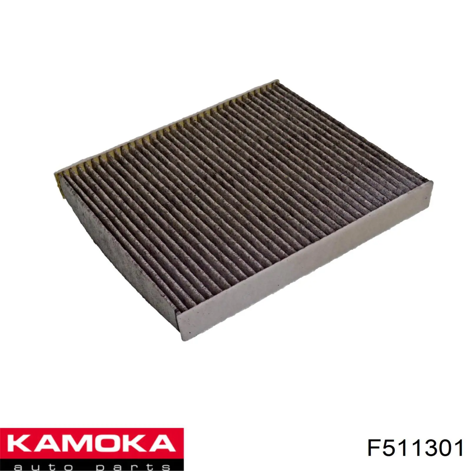  F511301 Kamoka