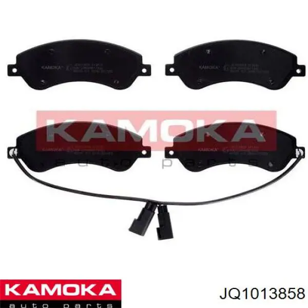 JQ1013858 Kamoka