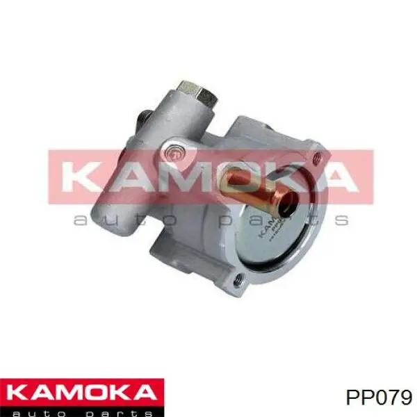 Насос гидроусилителя руля Kamoka PP079