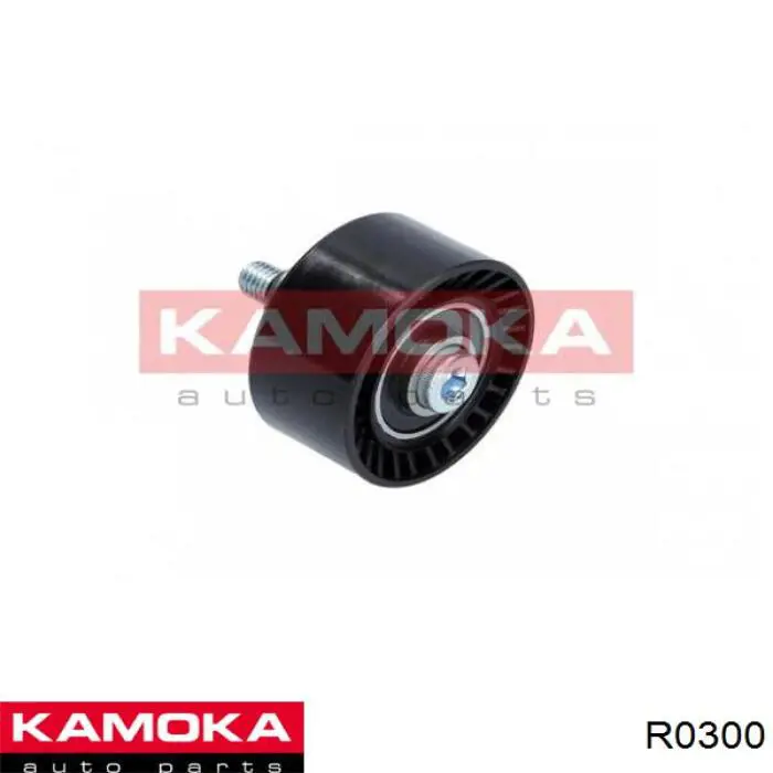 R0300 Kamoka